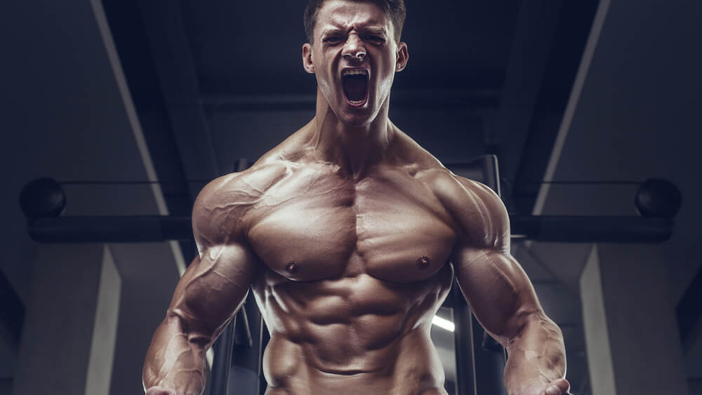 Trenbolone Acetate for beginners